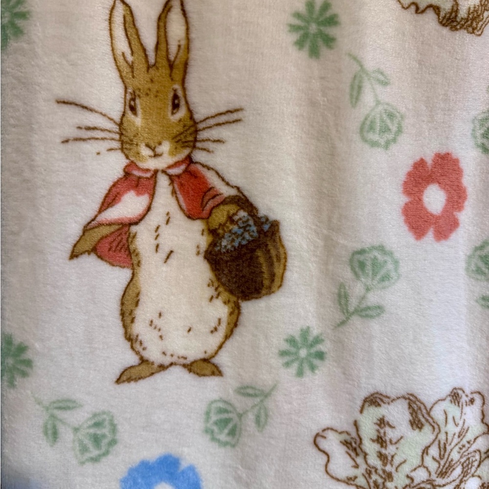 Peter Rabbit Easter Blanket NWT - Picture 3 of 3